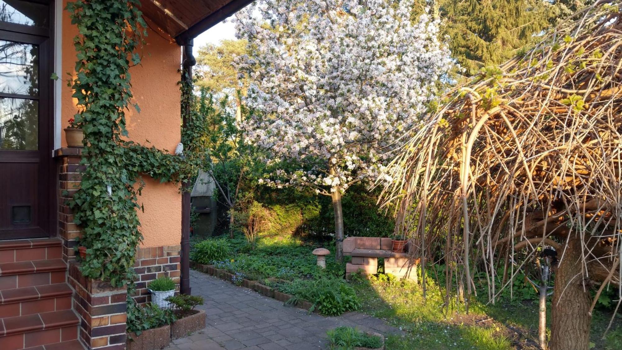 Ferienwohnung Luise, Gemuetlich, Freundlich Und Ganz Nah An Berlin オラニエンブルク エクステリア 写真